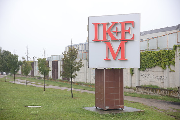 Praha hlásí za týden dalších 40 případů žloutenky. Začne jako viróza, končí v IKEM