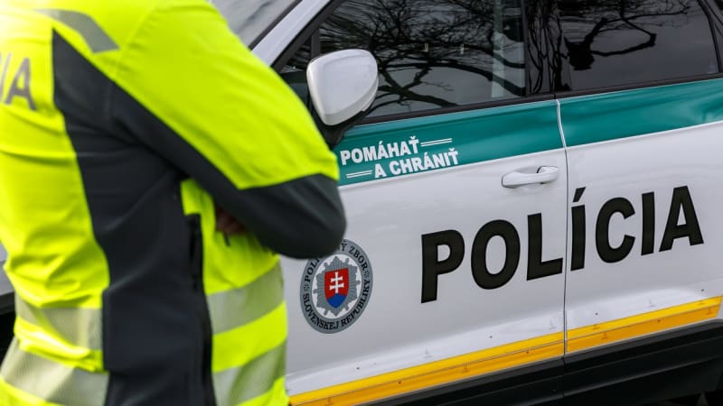 Slovenský politik Pavlík nepřežil těžkou nehodu. V dodávce Demokratů se střetl s náklaďákem