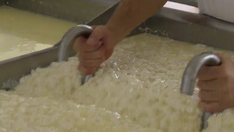 Mlékárny v kleštích: Češi se dočkají levnějšího másla a sýrů. Producenti čelí tlaku z Německa