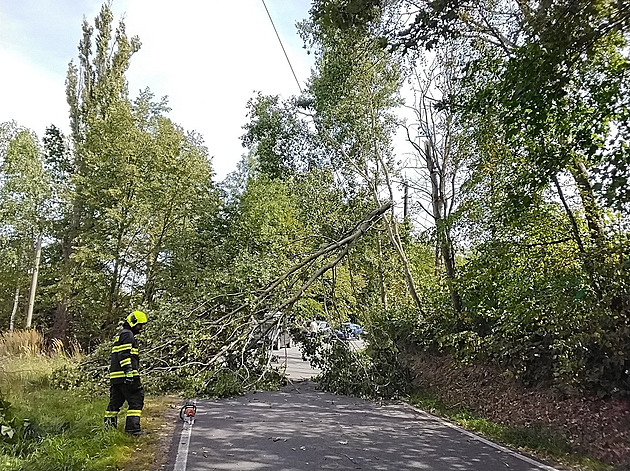 Česko v neděli zasáhne silný vítr. Může způsobit pády větví i škody na budovách