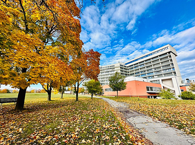 Jihomoravské špitály zastřeší krajská firma, připraví změny v poskytování péče