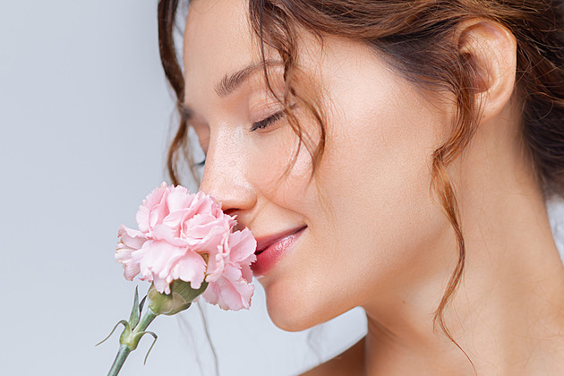 Karafiáty neboli hvozdíky potěší na MDŽ, na louce, v zahradě i v Klatovech