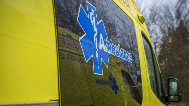 Hrozivá smrt muže na Bruntálsku. Bodnul ho hmyz, záchranáři už mu nedokázali pomoct