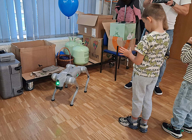Umí salto i panáčkovat. Robotický pes Dennis bavil v budějovickém štábu ODS